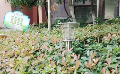 MZ05醫院戶外滅蚊燈