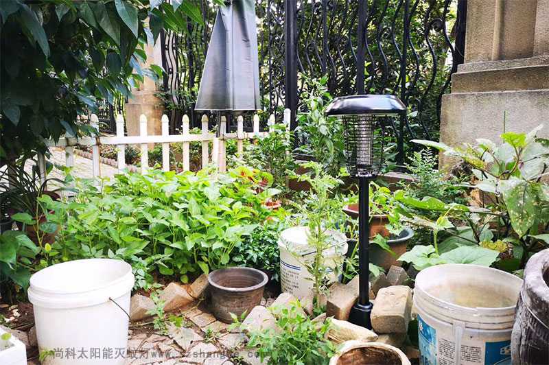 戶外滅蚊親測(cè)：滅蚊燈效果怎么樣？到底有用嗎