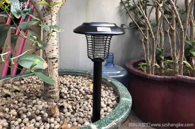 陽(yáng)臺(tái)花盆中的黑色小飛蟲怎么消滅？