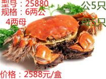 蘇州食品飲料產業全解析 價格、圖片、批發、廠家與餐飲管理