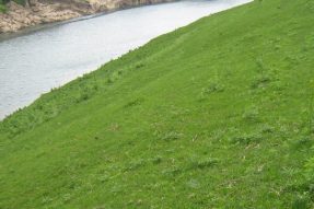 常見護(hù)坡樣式、特點(diǎn)及性能