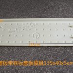 四孔圓點(diǎn)帶鐵標(biāo)蓋板模具